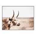 Picture of Annie, the Spotted Cow III _GroupedProduct_Rectangle_Landscape_Photography _GroupedProduct_Rectangle_Landscape_Canvas_Framed_