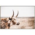 Picture of Annie, the Spotted Cow III _GroupedProduct_Rectangle_Landscape_Photography _GroupedProduct_Rectangle_Landscape_Canvas_Framed_