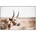 Picture of Annie, the Spotted Cow III _GroupedProduct_Rectangle_Landscape_Photography _GroupedProduct_Rectangle_Landscape_Canvas_Framed_