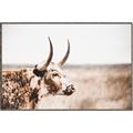 Picture of Annie, the Spotted Cow III _GroupedProduct_Rectangle_Landscape_Photography _GroupedProduct_Rectangle_Landscape_Canvas_Framed_