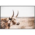 Picture of Annie, the Spotted Cow III _GroupedProduct_Rectangle_Landscape_Photography _GroupedProduct_Rectangle_Landscape_Canvas_Framed_