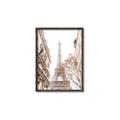 Picture of Paris in the Fall _GroupedProduct_Rectangle_Portrait_Photography _GroupedProduct_Rectangle_Portrait_Canvas_Framed_