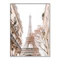 Picture of Paris in the Fall _GroupedProduct_Rectangle_Portrait_Photography _GroupedProduct_Rectangle_Portrait_Canvas_Framed_