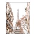 Picture of Paris in the Fall _GroupedProduct_Rectangle_Portrait_Photography _GroupedProduct_Rectangle_Portrait_Canvas_Framed_
