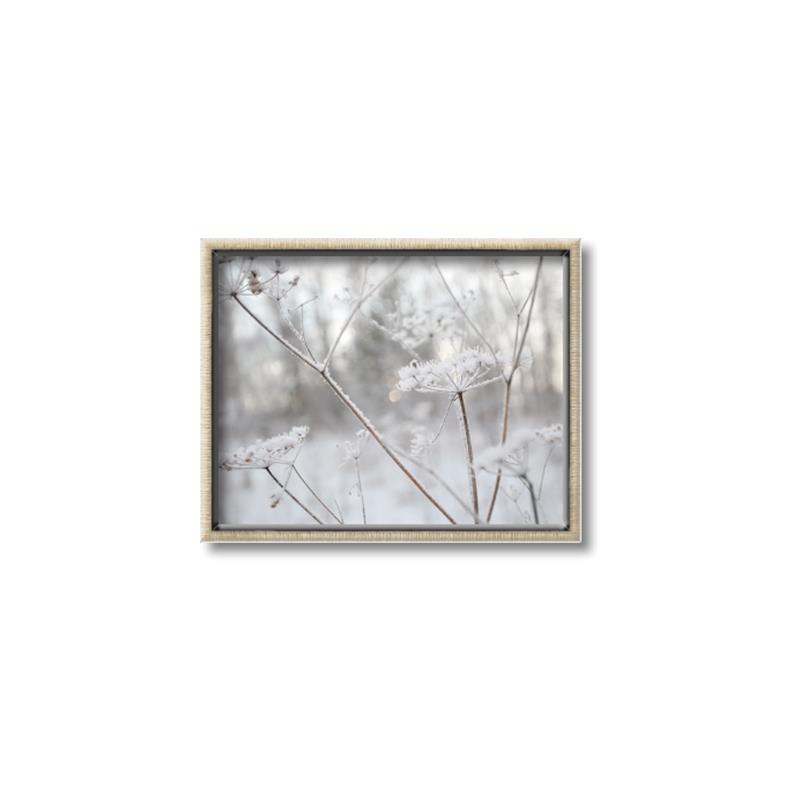 Picture of Branching off _GroupedProduct_Rectangle_Landscape_Photography _GroupedProduct_Rectangle_Landscape_Canvas_Framed_