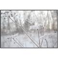 Picture of Branching off _GroupedProduct_Rectangle_Landscape_Photography _GroupedProduct_Rectangle_Landscape_Canvas_Framed_