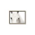 Picture of White horse _GroupedProduct_Rectangle_Landscape_Photography _GroupedProduct_Rectangle_Landscape_Canvas_Framed_