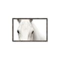 Picture of White horse _GroupedProduct_Rectangle_Landscape_Photography _GroupedProduct_Rectangle_Landscape_Canvas_Framed_