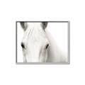 Picture of White horse _GroupedProduct_Rectangle_Landscape_Photography _GroupedProduct_Rectangle_Landscape_Canvas_Framed_