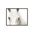 Picture of White horse _GroupedProduct_Rectangle_Landscape_Photography _GroupedProduct_Rectangle_Landscape_Canvas_Framed_