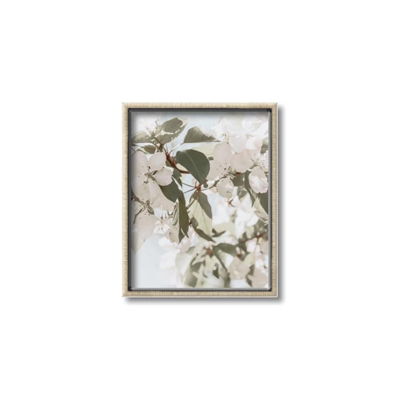 Picture of Leafy Light _GroupedProduct_Rectangle_Portrait_Photography _GroupedProduct_Rectangle_Portrait_Canvas_Framed_