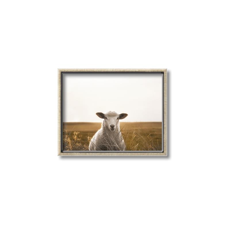 Picture of One and Only _GroupedProduct_Rectangle_Landscape_Photography _GroupedProduct_Rectangle_Landscape_Canvas_Framed_