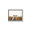 Picture of One and Only _GroupedProduct_Rectangle_Landscape_Photography _GroupedProduct_Rectangle_Landscape_Canvas_Framed_