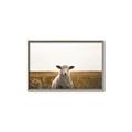 Picture of One and Only _GroupedProduct_Rectangle_Landscape_Photography _GroupedProduct_Rectangle_Landscape_Canvas_Framed_