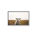 Picture of One and Only _GroupedProduct_Rectangle_Landscape_Photography _GroupedProduct_Rectangle_Landscape_Canvas_Framed_