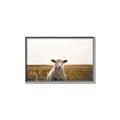 Picture of One and Only _GroupedProduct_Rectangle_Landscape_Photography _GroupedProduct_Rectangle_Landscape_Canvas_Framed_