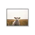 Picture of One and Only _GroupedProduct_Rectangle_Landscape_Photography _GroupedProduct_Rectangle_Landscape_Canvas_Framed_