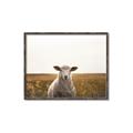 Picture of One and Only _GroupedProduct_Rectangle_Landscape_Photography _GroupedProduct_Rectangle_Landscape_Canvas_Framed_