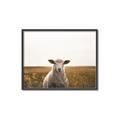 Picture of One and Only _GroupedProduct_Rectangle_Landscape_Photography _GroupedProduct_Rectangle_Landscape_Canvas_Framed_