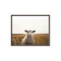Picture of One and Only _GroupedProduct_Rectangle_Landscape_Photography _GroupedProduct_Rectangle_Landscape_Canvas_Framed_