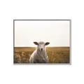 Picture of One and Only _GroupedProduct_Rectangle_Landscape_Photography _GroupedProduct_Rectangle_Landscape_Canvas_Framed_