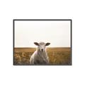 Picture of One and Only _GroupedProduct_Rectangle_Landscape_Photography _GroupedProduct_Rectangle_Landscape_Canvas_Framed_