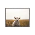 Picture of One and Only _GroupedProduct_Rectangle_Landscape_Photography _GroupedProduct_Rectangle_Landscape_Canvas_Framed_