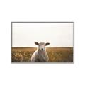 Picture of One and Only _GroupedProduct_Rectangle_Landscape_Photography _GroupedProduct_Rectangle_Landscape_Canvas_Framed_
