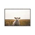Picture of One and Only _GroupedProduct_Rectangle_Landscape_Photography _GroupedProduct_Rectangle_Landscape_Canvas_Framed_