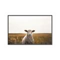 Picture of One and Only _GroupedProduct_Rectangle_Landscape_Photography _GroupedProduct_Rectangle_Landscape_Canvas_Framed_