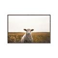 Picture of One and Only _GroupedProduct_Rectangle_Landscape_Photography _GroupedProduct_Rectangle_Landscape_Canvas_Framed_