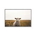 Picture of One and Only _GroupedProduct_Rectangle_Landscape_Photography _GroupedProduct_Rectangle_Landscape_Canvas_Framed_