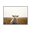 Picture of One and Only _GroupedProduct_Rectangle_Landscape_Photography _GroupedProduct_Rectangle_Landscape_Canvas_Framed_