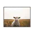 Picture of One and Only _GroupedProduct_Rectangle_Landscape_Photography _GroupedProduct_Rectangle_Landscape_Canvas_Framed_