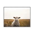 Picture of One and Only _GroupedProduct_Rectangle_Landscape_Photography _GroupedProduct_Rectangle_Landscape_Canvas_Framed_