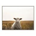 Picture of One and Only _GroupedProduct_Rectangle_Landscape_Photography _GroupedProduct_Rectangle_Landscape_Canvas_Framed_