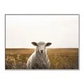 Picture of One and Only _GroupedProduct_Rectangle_Landscape_Photography _GroupedProduct_Rectangle_Landscape_Canvas_Framed_