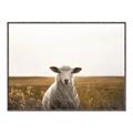 Picture of One and Only _GroupedProduct_Rectangle_Landscape_Photography _GroupedProduct_Rectangle_Landscape_Canvas_Framed_