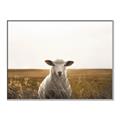 Picture of One and Only _GroupedProduct_Rectangle_Landscape_Photography _GroupedProduct_Rectangle_Landscape_Canvas_Framed_