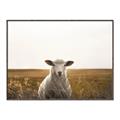 Picture of One and Only _GroupedProduct_Rectangle_Landscape_Photography _GroupedProduct_Rectangle_Landscape_Canvas_Framed_