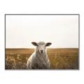 Picture of One and Only _GroupedProduct_Rectangle_Landscape_Photography _GroupedProduct_Rectangle_Landscape_Canvas_Framed_