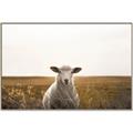 Picture of One and Only _GroupedProduct_Rectangle_Landscape_Photography _GroupedProduct_Rectangle_Landscape_Canvas_Framed_