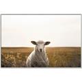 Picture of One and Only _GroupedProduct_Rectangle_Landscape_Photography _GroupedProduct_Rectangle_Landscape_Canvas_Framed_