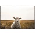 Picture of One and Only _GroupedProduct_Rectangle_Landscape_Photography _GroupedProduct_Rectangle_Landscape_Canvas_Framed_