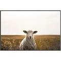 Picture of One and Only _GroupedProduct_Rectangle_Landscape_Photography _GroupedProduct_Rectangle_Landscape_Canvas_Framed_