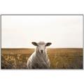 Picture of One and Only _GroupedProduct_Rectangle_Landscape_Photography _GroupedProduct_Rectangle_Landscape_Canvas_Framed_