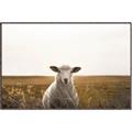 Picture of One and Only _GroupedProduct_Rectangle_Landscape_Photography _GroupedProduct_Rectangle_Landscape_Canvas_Framed_