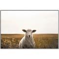 Picture of One and Only _GroupedProduct_Rectangle_Landscape_Photography _GroupedProduct_Rectangle_Landscape_Canvas_Framed_