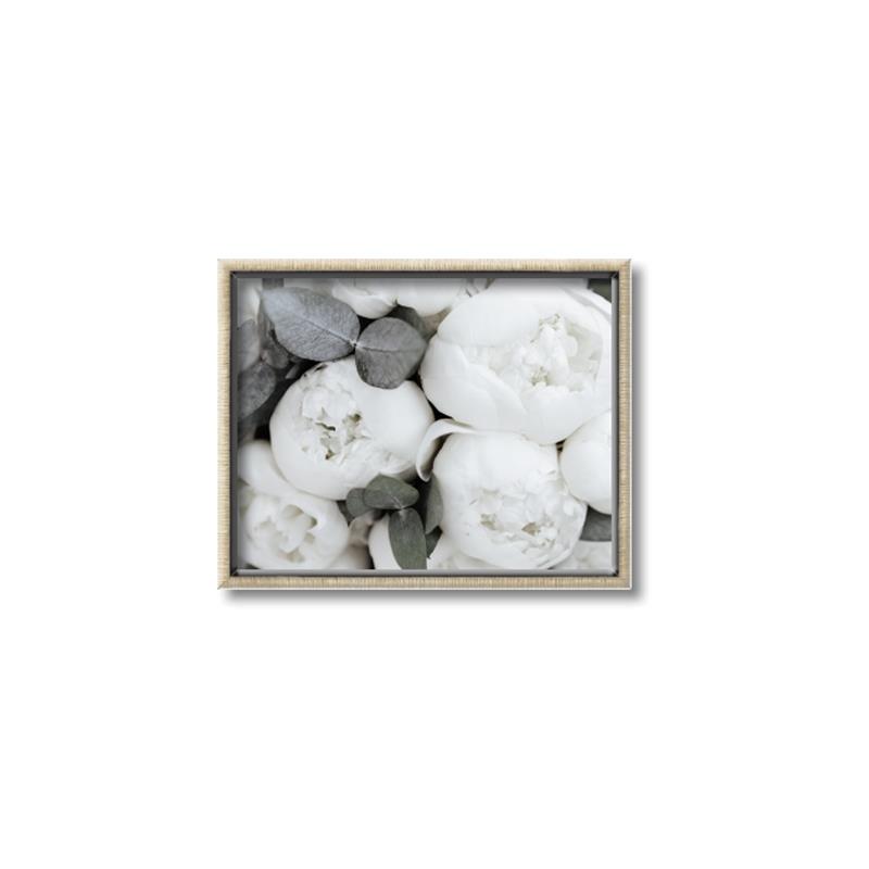 Picture of White Blooms _GroupedProduct_Rectangle_Landscape_Photography _GroupedProduct_Rectangle_Landscape_Canvas_Framed_