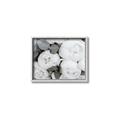 Picture of White Blooms _GroupedProduct_Rectangle_Landscape_Photography _GroupedProduct_Rectangle_Landscape_Canvas_Framed_